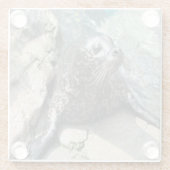 スポッテッドシールフォトスクエアガラスコースター ガラスコースター (裏面)