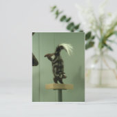 スポッテッドスカンク；博物館展示 ポストカード (スタンド正面)