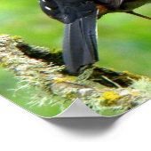 スポッテッドトーエープリント ポスター (角)