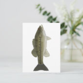 スポッテッドバス ポストカード (スタンド正面)