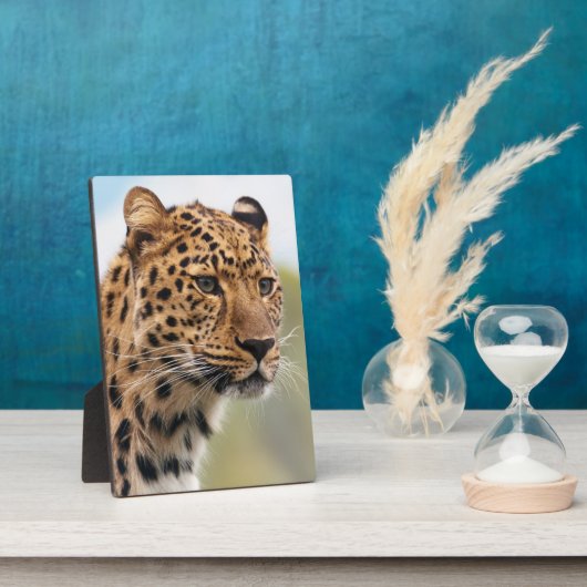 スポッテッドヒョウ顔ポートレート フォトプラーク (側面)