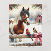 スポッテッドピント馬と深紅色 パーソナライズされた ポストカード (正面)