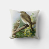 スポッテッドフライキャッチャー、アートイラストレーション クッション (正面)