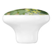 スポッテッドフライキャッチャー、アートイラストレーション セラミックノブ (側面)