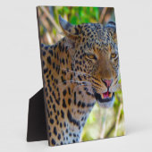 スポッテッドレオパード フォトプラーク (側面)