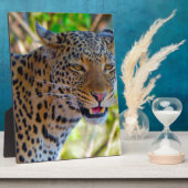 スポッテッドレオパード フォトプラーク (側面)