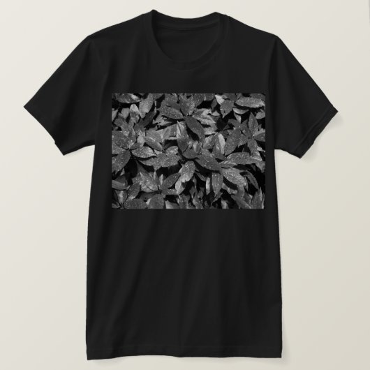 スポッテッドローレル Tシャツ (デザイン正面)