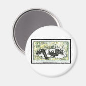 スポットホップを参照 マグネット (正面/裏面)