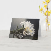 スポットライトのシャクヤクの挨拶状 カード (黄色い花)