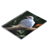 スポットライトのダイヤモンド鳩 ノートブック (左側)