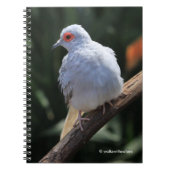スポットライトのダイヤモンド鳩 ノートブック (正面)