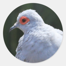 スポットライトのダイヤモンド鳩 ラウンドシール