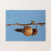 スポットライトの中の雄のざらつきハチドリ ジグソーパズル (横)