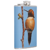 スポットライトの中の雄のざらつきハチドリ フラスク (右)