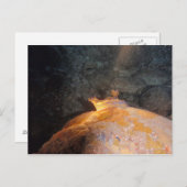 スポットライトを浴びる ポストカード (正面/裏面)