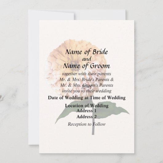 スポットライト内の《植物》百日草 招待状 (正面)