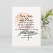 スポットライト内の《植物》百日草 招待状 (スタンド正面)