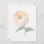 スポットライト内の《植物》百日草 招待状 (裏面)