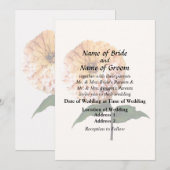 スポットライト内の《植物》百日草 招待状 (正面/裏面)