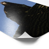 スポットライト フォトプリント            (角)