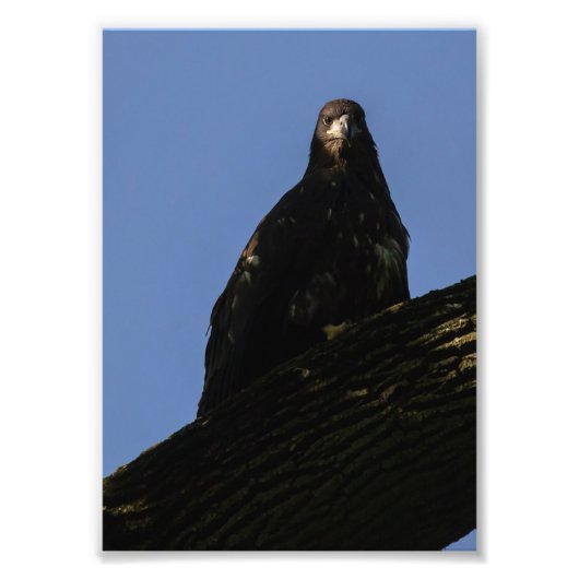 スポットライト フォトプリント            (正面)