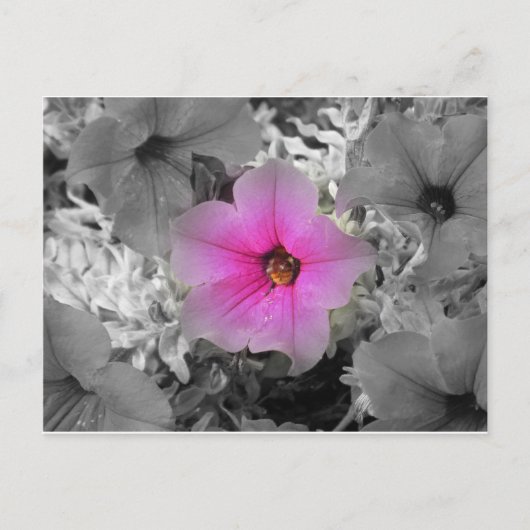 スポットライト ポストカード (正面)