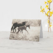 スポット遊 カード (黄色い花)