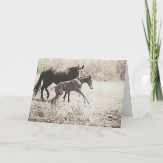 スポット遊 カード (正面)