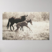 スポット遊 ポスター (正面)