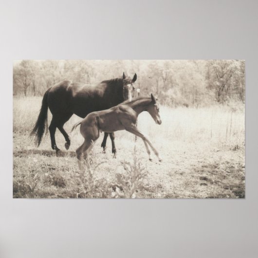 スポット遊 ポスター (正面)