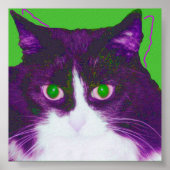 スポット ポスター (正面)