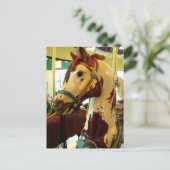 スポット ポストカード (スタンド正面)