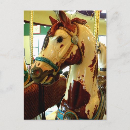 スポット ポストカード (正面)