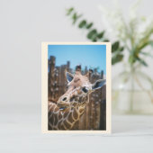 スポット ポストカード (スタンド正面)