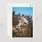 スポット ポストカード (正面/裏面)