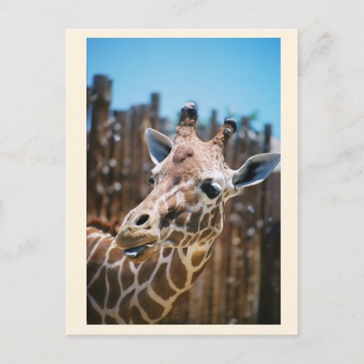 スポット ポストカード (正面)