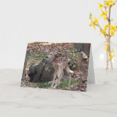 スポッ空白のトFAWNグリーティングカード カード (黄色い花)