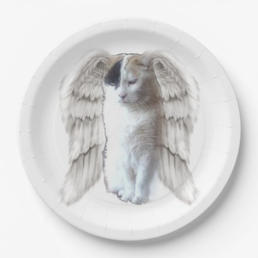 スポティエンジェルラージ紙プレート ペーパープレート (正面)