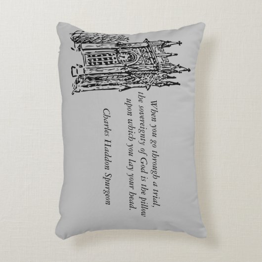 スポルジョン引用文枕 アクセントクッション (正面(垂直))