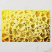 スポンジおもしろいスタイルプロフェッショナルブルーパック チラシ (裏面)