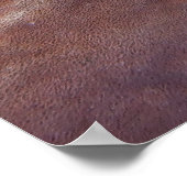 スポンジにコサミを置く ポスター (角)