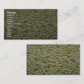 スポンジ 名刺 (正面/裏面)