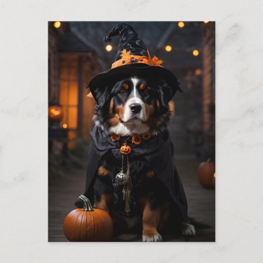 スポーキーなバーニーズ・ドッグ: ハロウィーンの遠吠え ポストカード (正面)