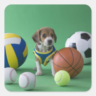 スポーツのボールに囲まれた子犬 スクエアシール