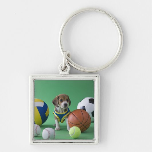 スポーツの球によって囲まれる子犬 キーホルダー (正面)