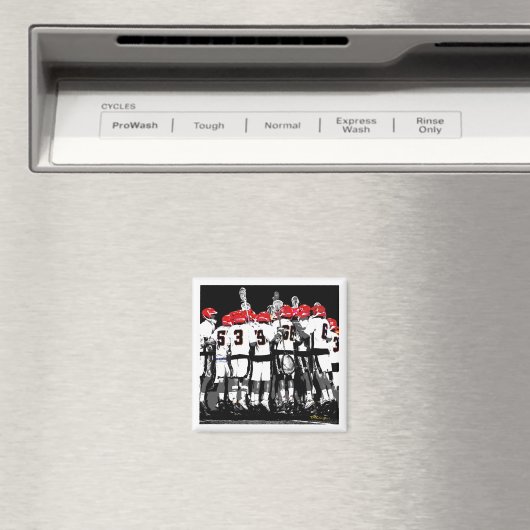 スポーツチームフォトマグネットアスリートファンスポーツ マグネット (インサイチュ (食洗機))