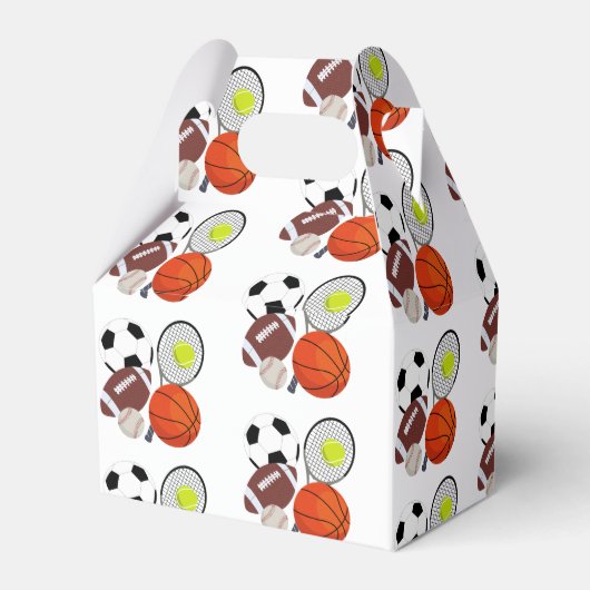 スポーツ競技用ボール フェイバーボックス (裏面サイド)