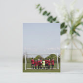 スポーツ。ライフスタイル、サッカー ポストカード (スタンド正面)