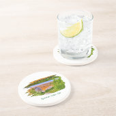 スポーナー湖コースター コースター (側面)