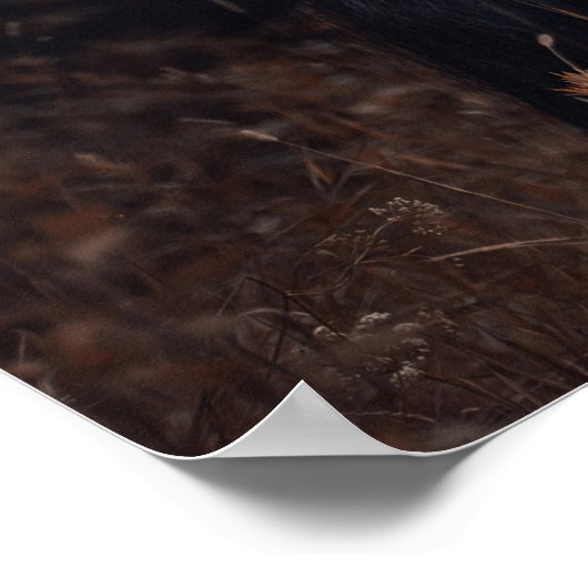 スポ素晴らしートドレエレガントセージフリシアンスタリオン ポスター (角)